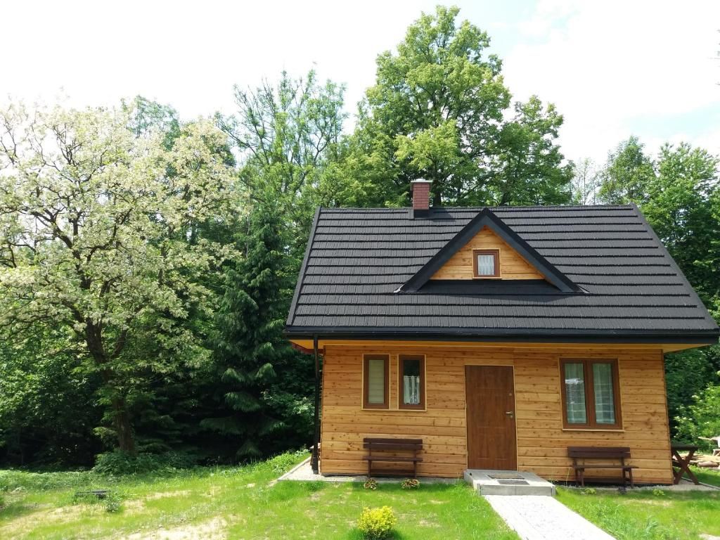 Дома для отпуска U Eskulapa Bieszczady Лютовиска